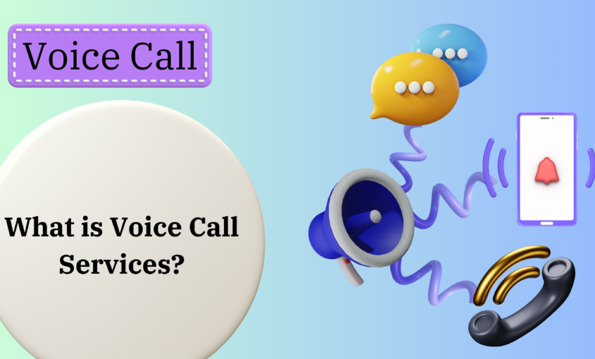 voice call